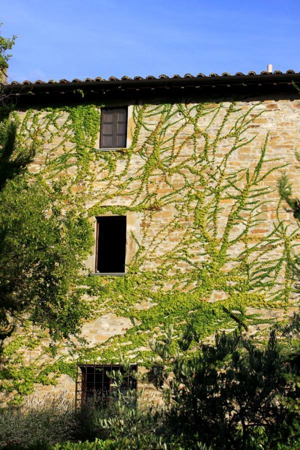 Villa Cavagnetti Pietralunga  Exterior photo