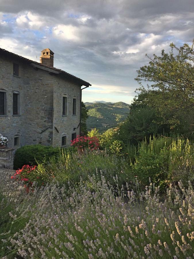 Villa Cavagnetti Pietralunga  Exterior photo